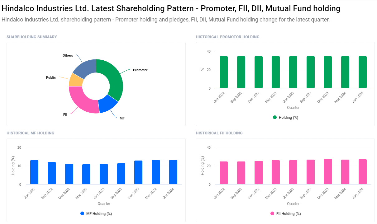 Hindalco Share Price Target From 2024 to 2030