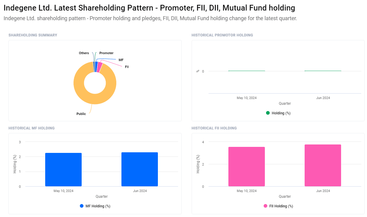 Indegene Share Price Target For 2024, 2025, 2026, 2027, 2028, 2029, 2030