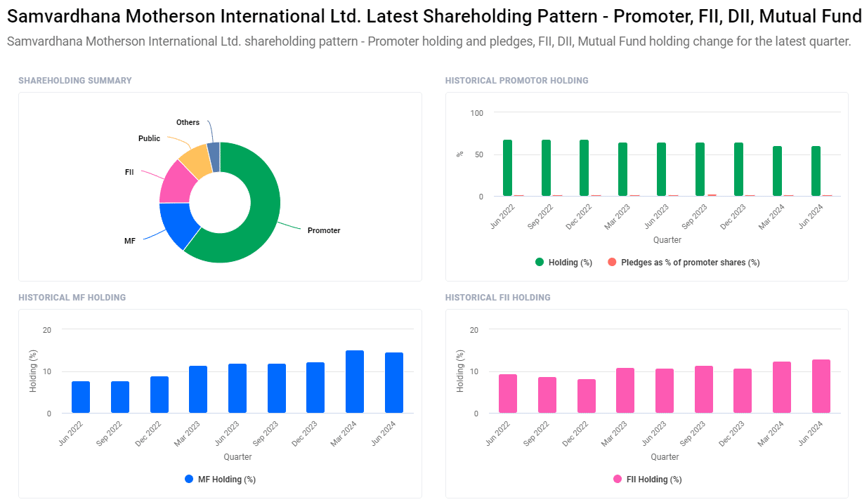 Motherson Sumi Share Price Target from 2024 to 2030
