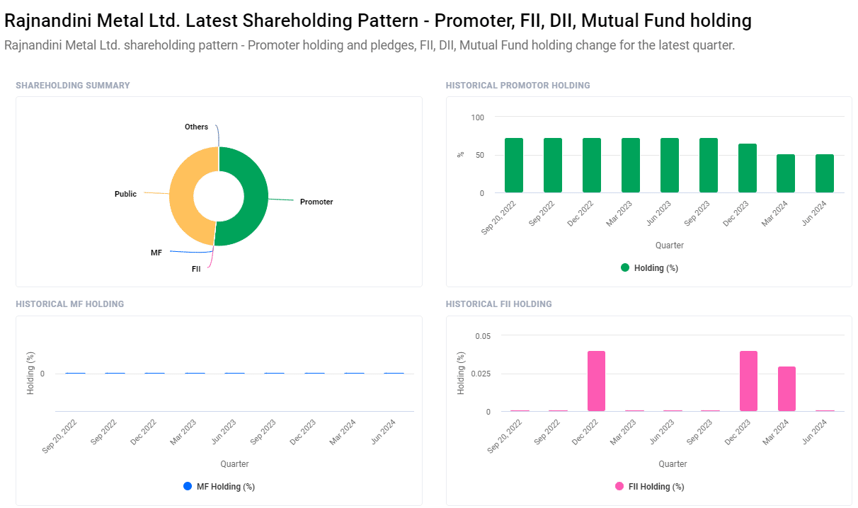 Rajnandini Metal Share Price Target 2024-2030: Detailed Analysis and Projections