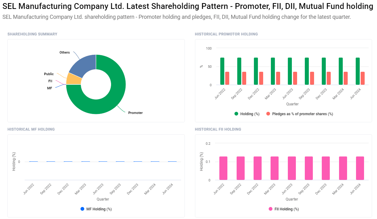 SEL Manufacturing Share Price Target 2024-2030: Detailed Analysis and Projections