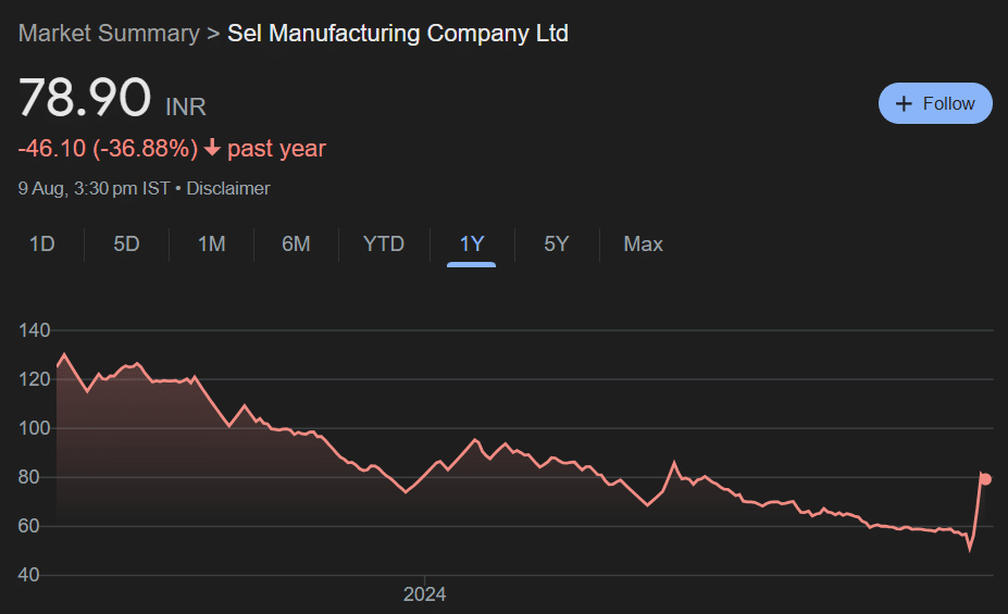 SEL Manufacturing Share Price Target 2024-2030: Detailed Analysis and Projections