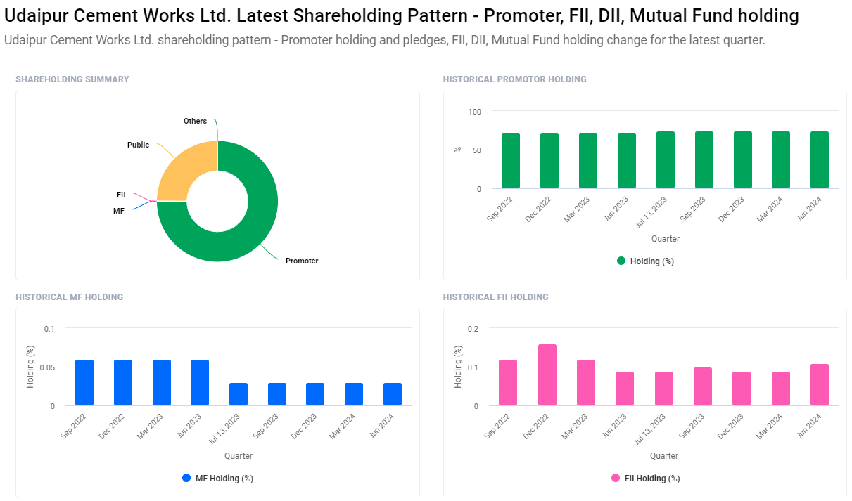 Udaipur Cement Share Price Target 2025, 2026, 2027, 2028, 2029, 2030