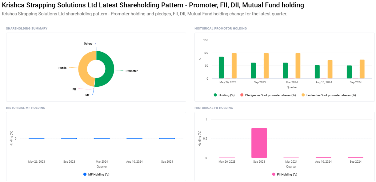 Krishca Strapping Solutions Share Price Target From 2024 to 2030